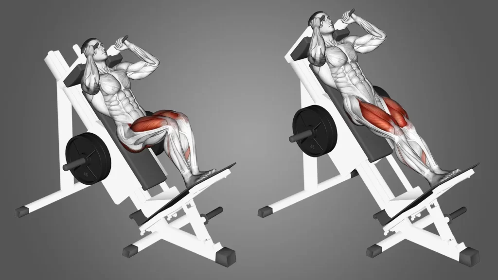 Comment bien réaliser des hack squats ?